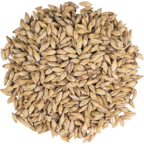 Voyager (AU) Dexter Barley Malt per kg