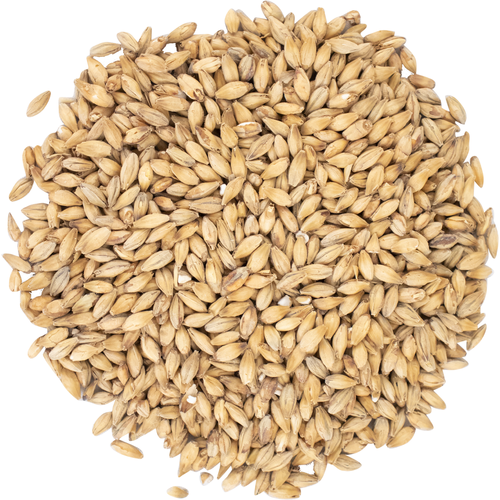 Joe White Export Pilsner Malt Per Kg