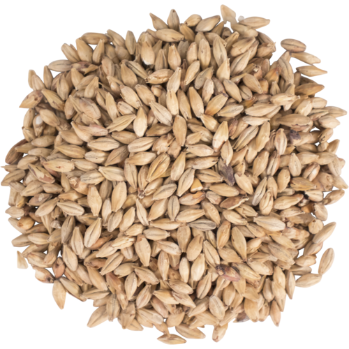 Best Maltz Pilsen Malt per kg