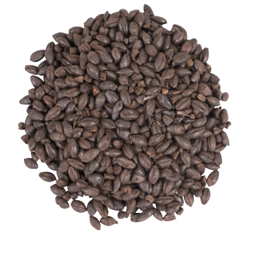 Voyager Roasted Ethiopian Black Barley