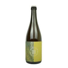 Wildflower Good as Gold Blend #22