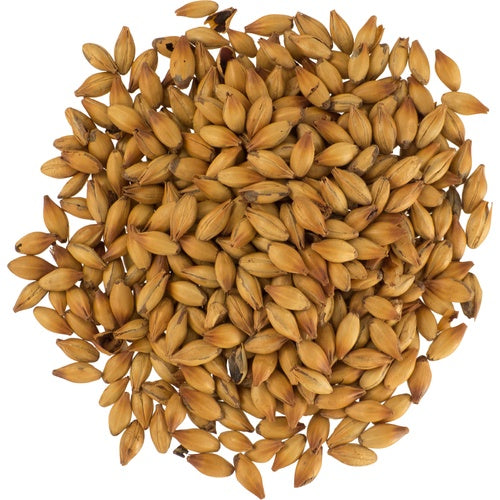 Dingemans (BE) Special B (per kg)