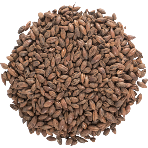 Voyager (AU) Chocolate Malt per kg