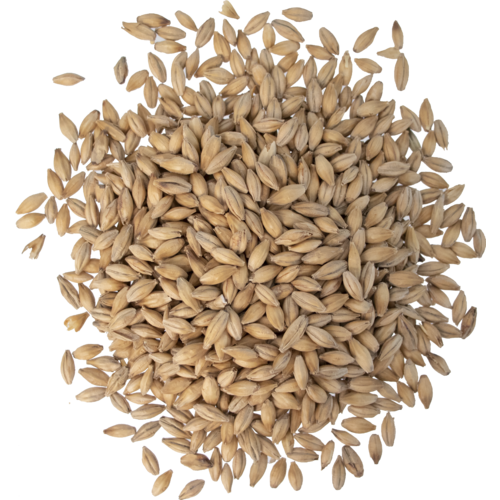 Voyager (AU) Veloria per kg