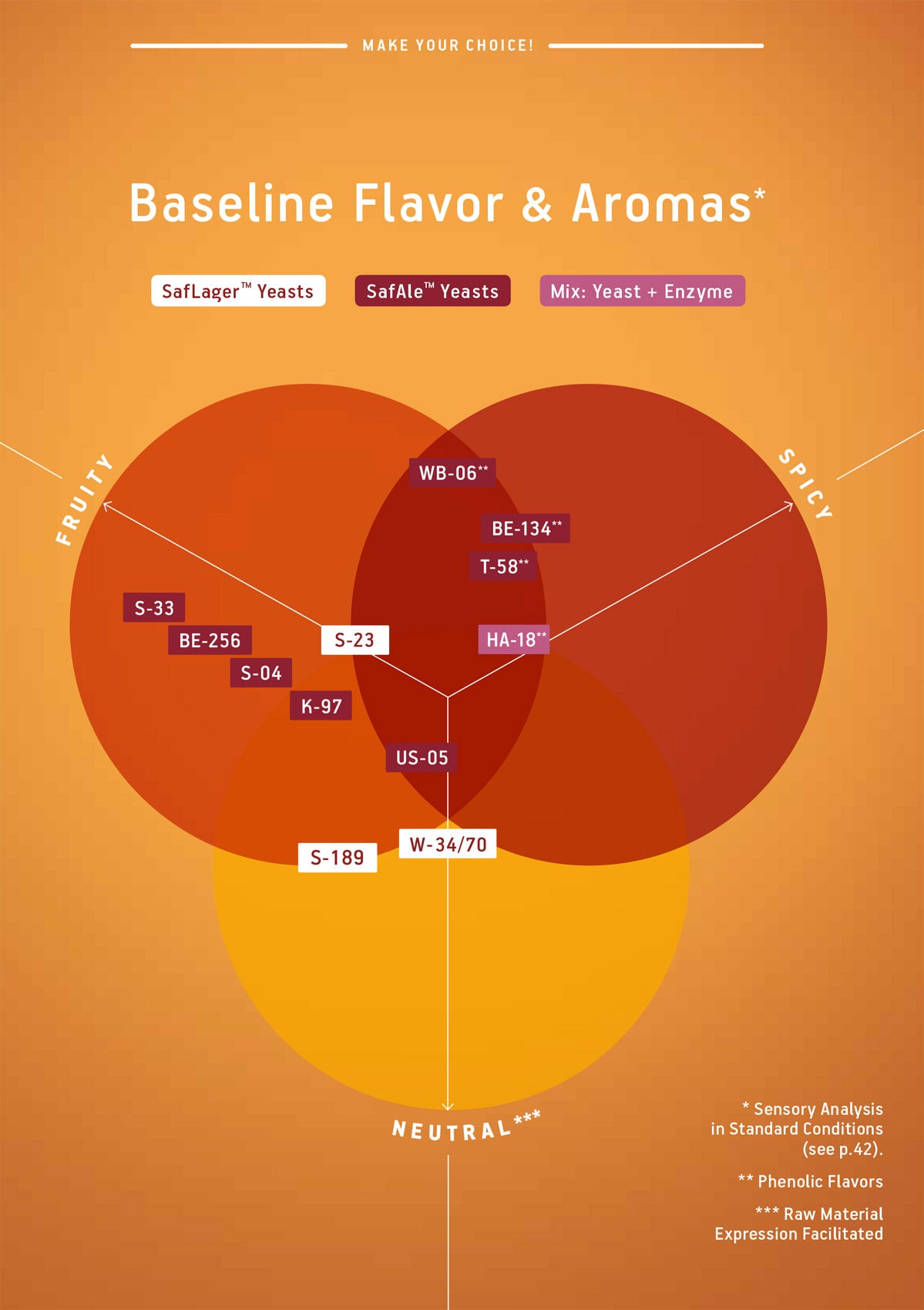 SafAle BE-134 Belgian Saison Dry Yeast 11.5g