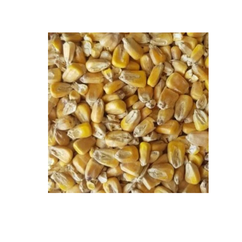 Voyager Malted Corn (Per kg)