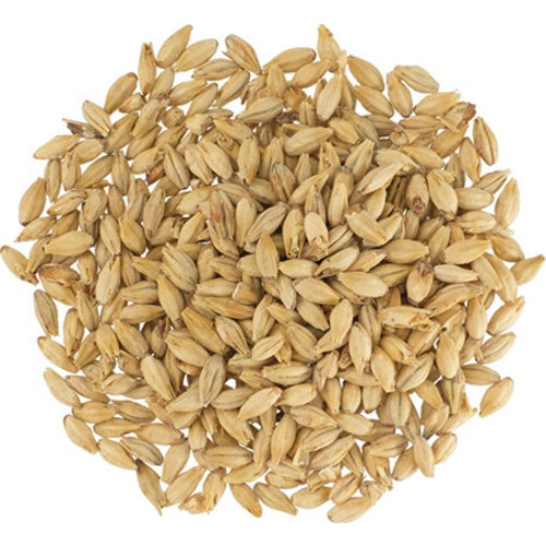 Voyager (AU) Organic Malted Oats (per kg)