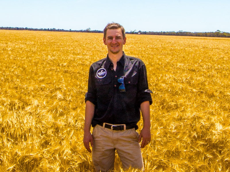 Voyager (AU) Roasted Barley