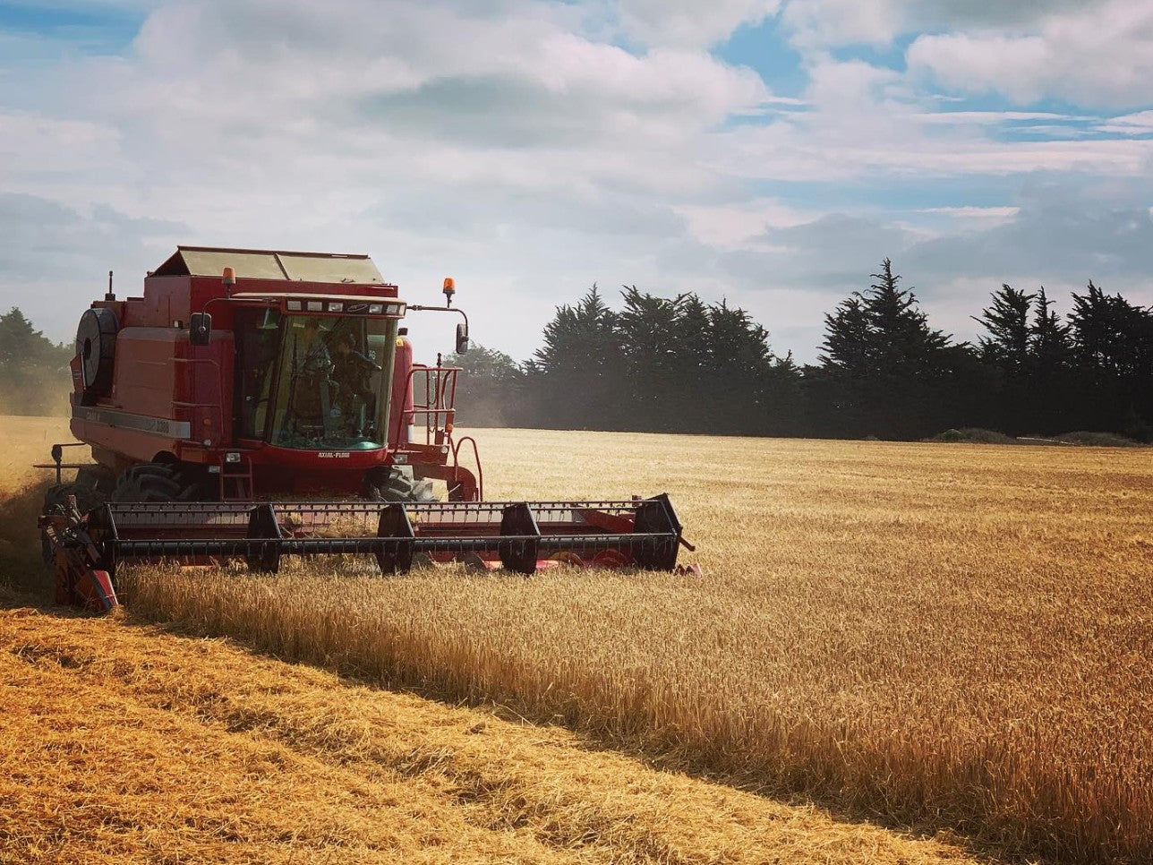 Gladfield (NZ) Aurora Malt (per kg)