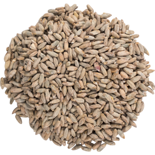 Voyager (AU) Heritage Rye per kg