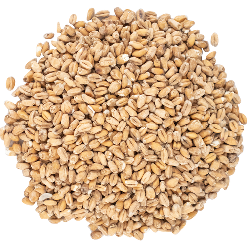 Voyager (AU) Winter Wheat per kg